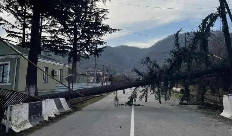 ძლიერ ქარს ლანჩხუთში ერთი ადამიანის სიცოცხლე ემსხვერპლა