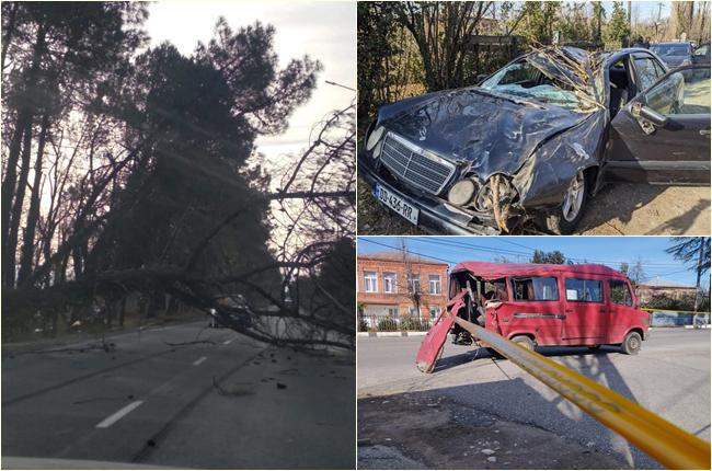 სტიქია დასავლეთ საქართველოში: ძლიერი ქარის შედეგად მოგლეჯილი ხეები, ახდილი სახურავები, დაშავებული ადამიანები და ტრაგედია, რომელსაც ერთი მოქალაქე ემსხვერპლა