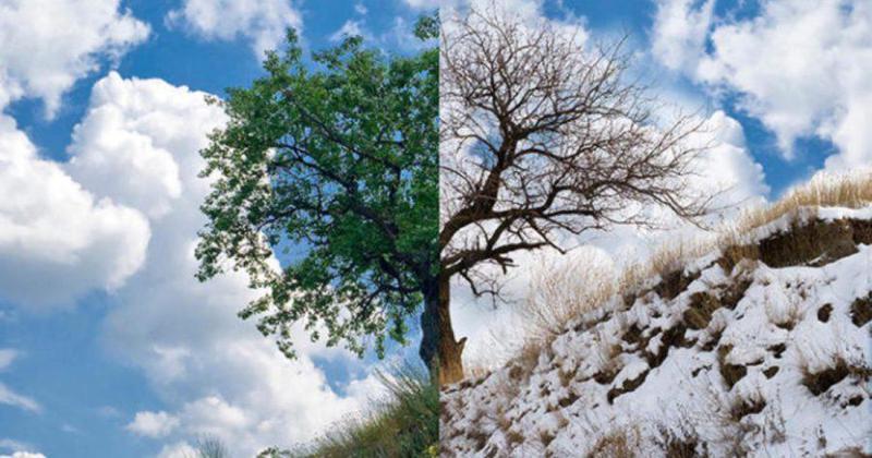 ჰაერის ტემპერატურა  +16 გრადუსამდე მოიმატებს - როგორია უახლოესი დღეების ამინდის პროგნოზი