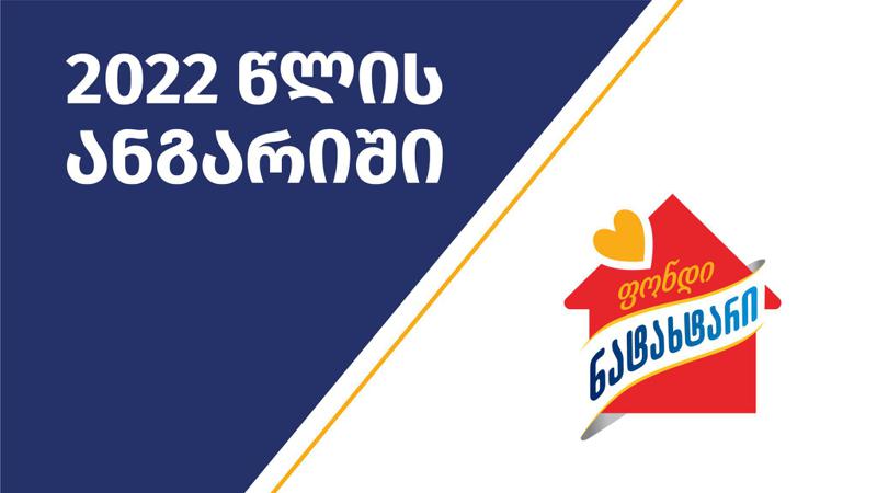 "ფონდმა ნატახტარმა" საზოგადოებას 2022 წლის საქმიანობის ანგარიში წარუდგინა