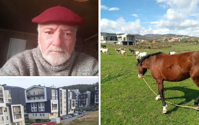 "ქალაქის ცენტრიდან გამოქცეული ისევ ქალაქში აღმოვჩნდი... აქ მასობრივი მშენებლობები დაიწყო" - რა პრობლემის წინაშე აღმოჩნდა თბილისიდან თხინვალაში გადასახლებული მეურნე?