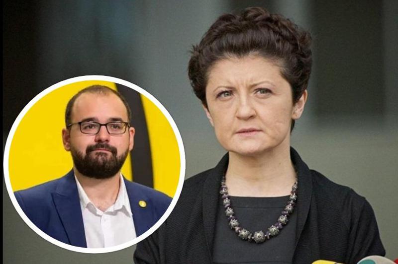 "თეა წულუკიანი არის ჩვეულებრივი ბოლშევიკი...  ის არის ამ მთავრობის სახე" - გრიგოლ გეგელია