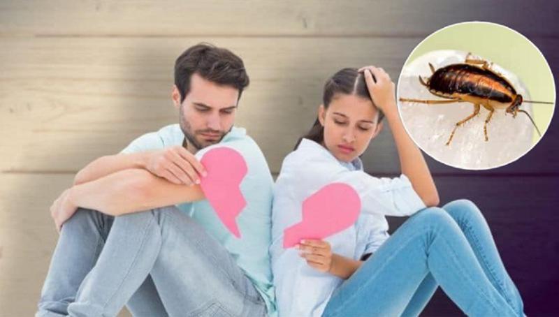 "შესანსლე ყოფილი"  - ვალენტინობისთვის ზოგიერთი ზოოპარკი  გულგატეხილ ადამიანებს ყოფილზე შურისძიების გზას სთავაზობს