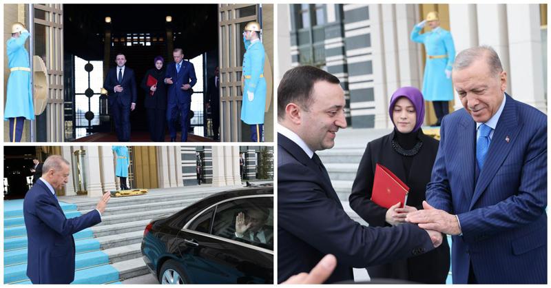 როგორ დახვდა ერდოღანი ღარიბაშვილს - ფოტო და ვიდეოკადრები მიღების ცერემონიიდან: რაზე ისაუბრეს ლიდერებმა?