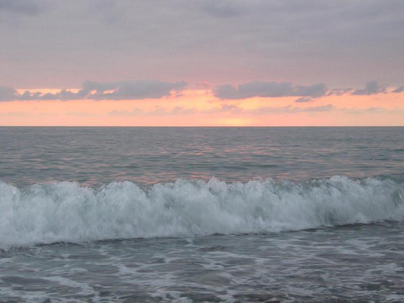 რა ხდება ცნობილი ახალგაზრდა ქალზე, რომელსაც მაშველები ზღვაში ეძებენ - "ძაღლი უცებ ტალღამ გაიტაცა, გოგოები მის დასახმარებლად შევიდნენ"