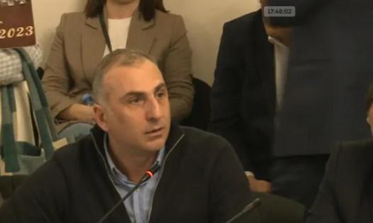 "სხვა პრობლემას ვერ ხედავთ? წამოდით ნავთლუღის ბაზარში, 5 ლარის საშოვნელად ხალხი ქუჩაშია გამოსული... შემოგვყურებენ, იქნებ რაღაც გააკეთონო" - ელისაშვილი უმრავლესობას