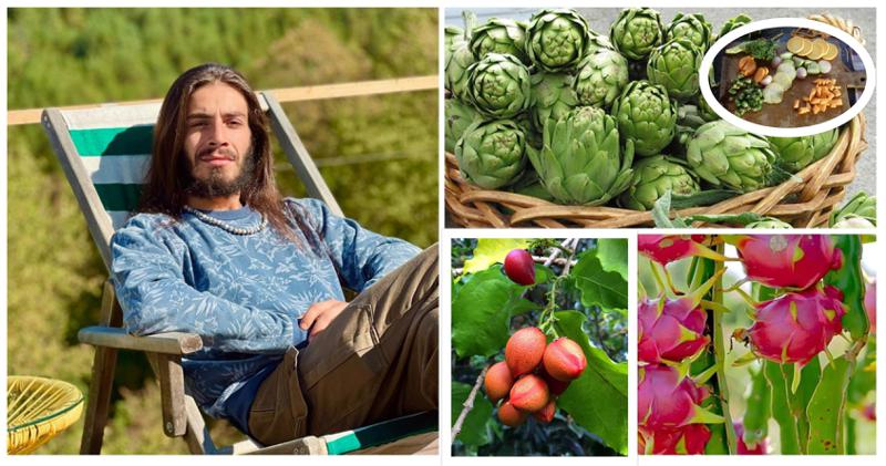 "როცა სიმშვიდე მღლის, თვეში ერთხელ თბილისში მივდივარ და ვერთობი" - სოფელში გადასახლებული ახალგაზრდა მწერლის ექსპერიმენტული მეურნეობა და იშვიათი ტროპიკული მოსავალი