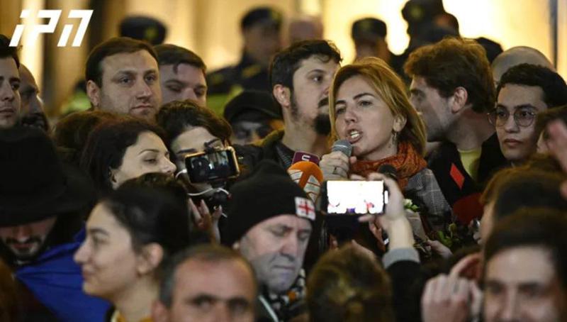 "ეს კანონი 100 წლის წინ რომ ყოფილიყო, ილია ჭავჭავაძე და აკაკი წერეთელი აგენტები იქნებოდნენ - შეუძლებელია, სულხან-საბას გზას აჯობოს დაჩი ბერაის და ყაველაშვილის "თხა და გიგოს“ გზამ" - ანა დოლიძე