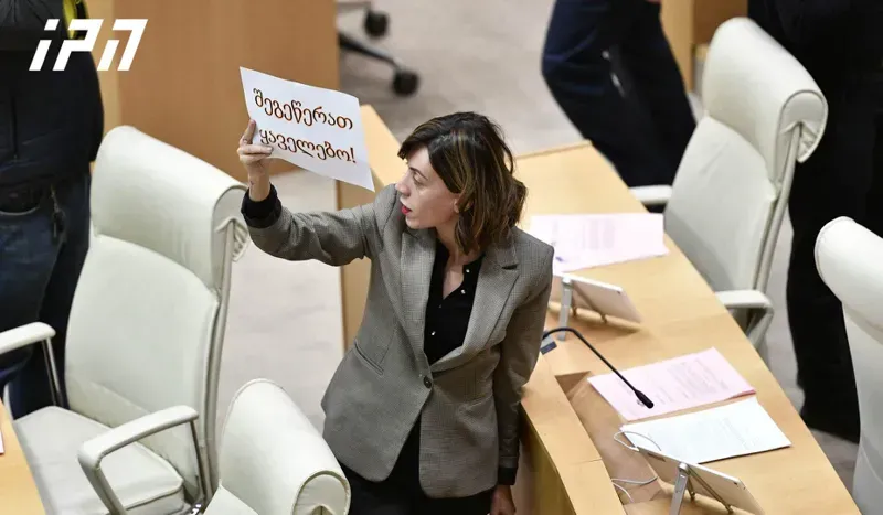 "შეგეწერათ, ყაველებო“? - ანა წითლიძე უმრავლესობის დეპუტატებს