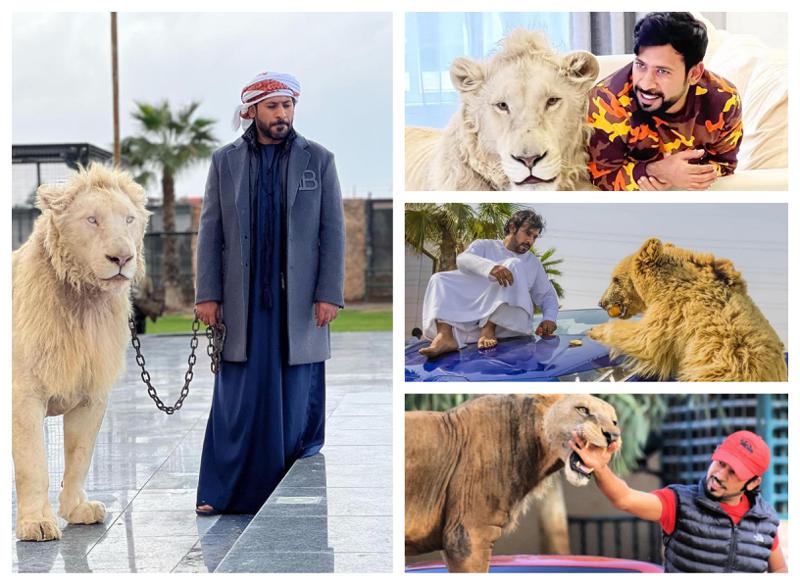 ვინ არის ტიკ-ტოკზე ყველაზე პოპულარული არაბი შეიხი, 12 მილიონი გამომწერით - კაცი, რომელიც ეგზოტიკურ ცხოველებთან ერთად ცხოვრობს და ვეფხვებთან სძინავს