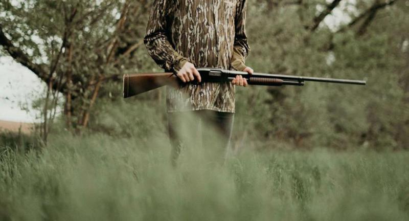 "აქაურობა ტყედ არის ქცეული... შესაძლოა, ნადირი დაგესხას თავს" - ოკუპირებულ აფხაზეთში მგლებისა და ტურების დახოცვისთვის ფულადი ჯილდო დააწესეს