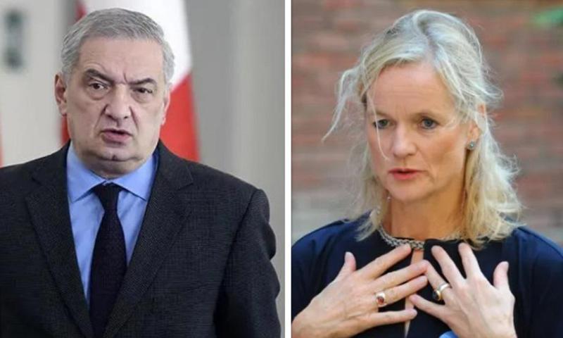 "ვიოლა ფონ კრამონი საქართველოს წინააღმდეგ შეთქმულებაში მონაწილეობს" - გია ვოლსკი