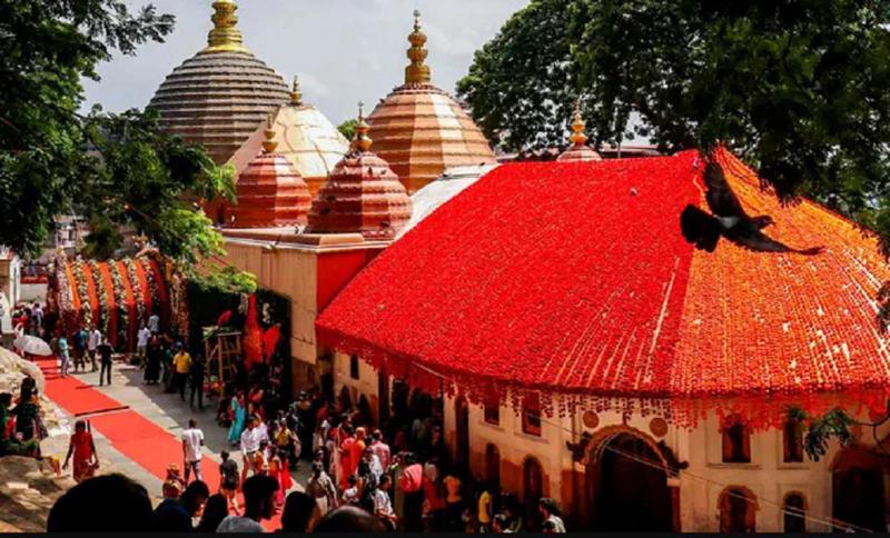 ინდოეთში, ადამიანის მსხვერპლშეწირვის ბრალდებით, ხუთი პირი დააკავეს - "ამბობენ, რომ ეს იყო რელიგიური რიტუალი გარდაცვლილის სულის დასამშვიდებლად"