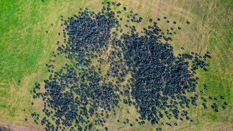 თბილისის შემოვლით გზაზე გადაყრილ საბურავებს Tegeta Green Planet გაიტანს