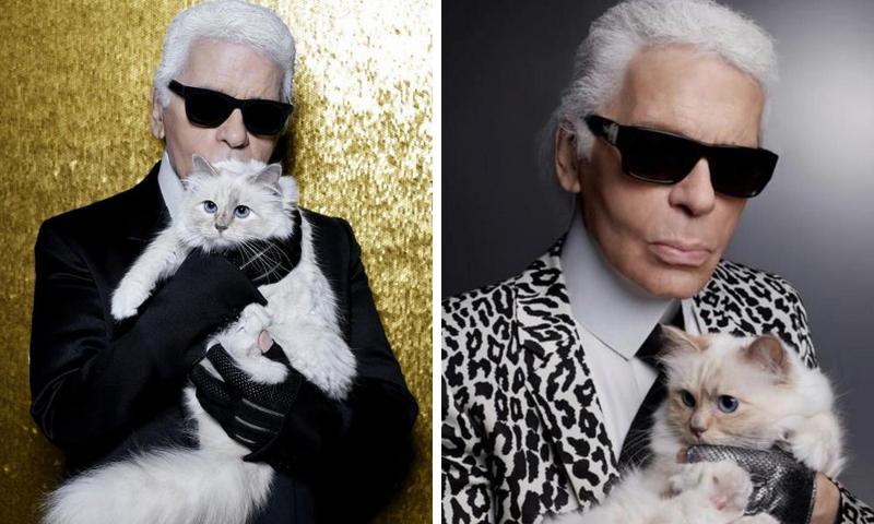 კარლ ლაგერფელდის კატა Met Gala-ს წითელ ხალიჩაზე მიიწვიეს