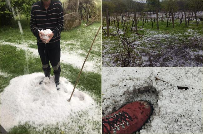 განადგურებული ვენახები, დაზიანებული ხეხილი, დატბორილი კარ-მიდამო - ძლიერი სეტყვა კახეთში: "გადაგვიარა... ეგაა რა, შრომობ, ოცნებობ და ვიღაც მაღლა მაგრად იცინის"