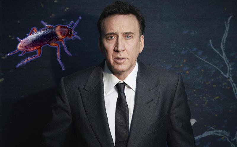 ნიკოლას ქეიჯმა ფილმის გადაღებისას ცოცხალი ტარაკანა შეჭამა  -  "ამას აღასოდეს გავიმეორებ"