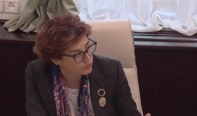 "ემოციებისა და ნერვების აშლის ნაცვლად, სჯობს მეტად ჩამოყალიბებული იყოთ" - კამათი პარლამენტში