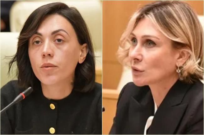 "სანამ ამ სისულელეებს ილაპარაკებს ქალბატონი ნინო წილოსანი, მე შევახსენებ..." - ანა წითლიძე