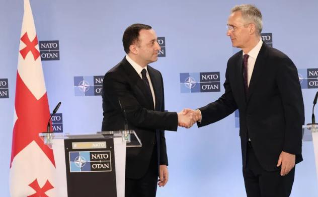 "პრობლემა ის არის, რომ ქვეყნის დემოკრატიული განვითარების დონე ვერ ეწევა ჩვენს საგარეო პოლიტიკურ ინტერესს" - მმართველი გუნდის რიტორიკა შინ და გარეთ: რა განაპირობებს ორმაგ სტანდარტს?