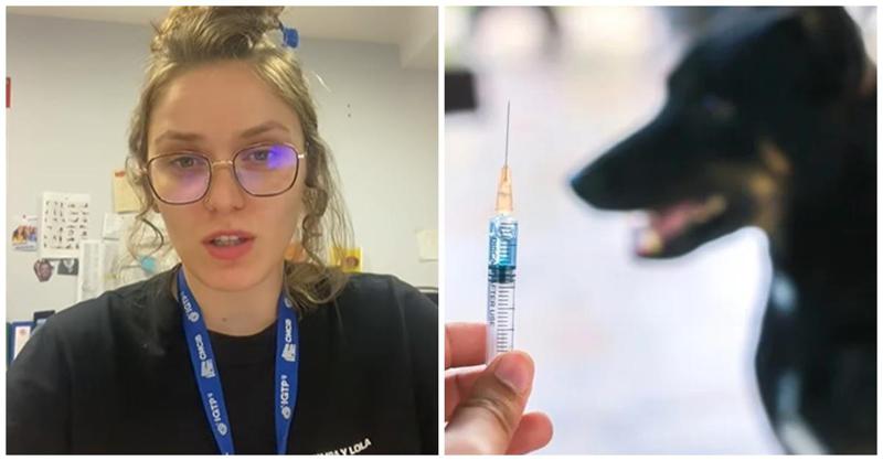 "ცოფი არის ერთადერთი დაავადება, სადაც ასიდან ასივე შემთხვევა სიკვდილით მთავრდება" - რატომ არის აცრა აუცილებელი და რას ამბობს ვაქცინოლოგი ვაქცინაციაზე გავრცელებულ მითებზე?