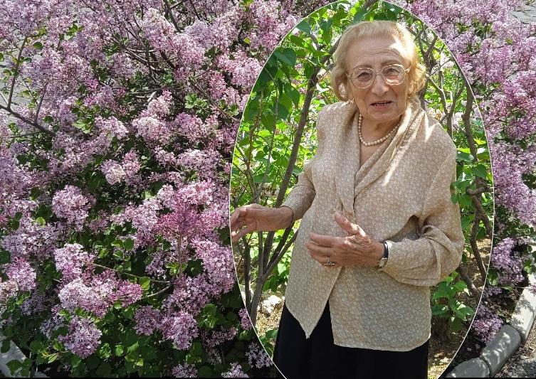 "იასამნების კეთილი დედოფალი" - ისტორია ქალისა, რომელიც 62 წელიწადია თბილისის ბოტანიკურ ბაღში მუშაობს: "მცენარე ადამიანს ცუდი აზრებისა და მძიმე აურისგან გათავისუფლებაში ეხმარება"