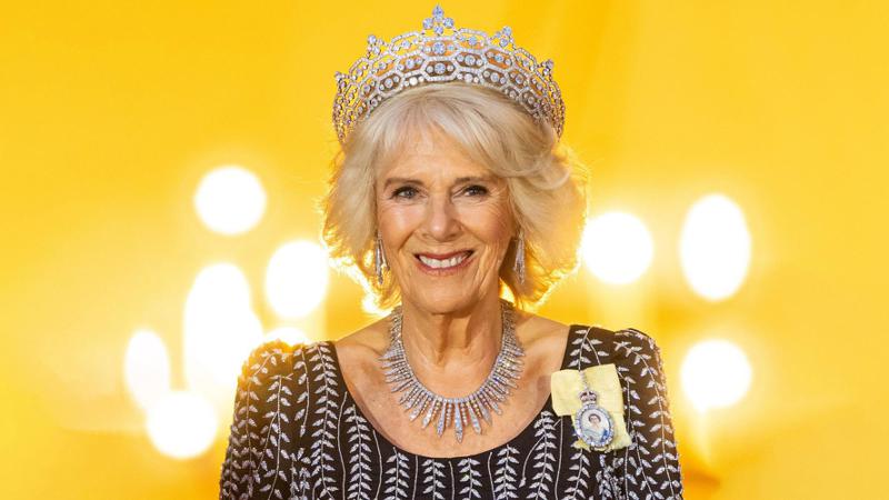 თუ მეფეს უყვარხარ - ცხოვრება პრინცესა დაიანას ჩრდილში, საზოგადოების სიძულვილი და ქარიშხლიანი გზა ბრიტანეთის დედოფლობამდე: სხვა კამილა