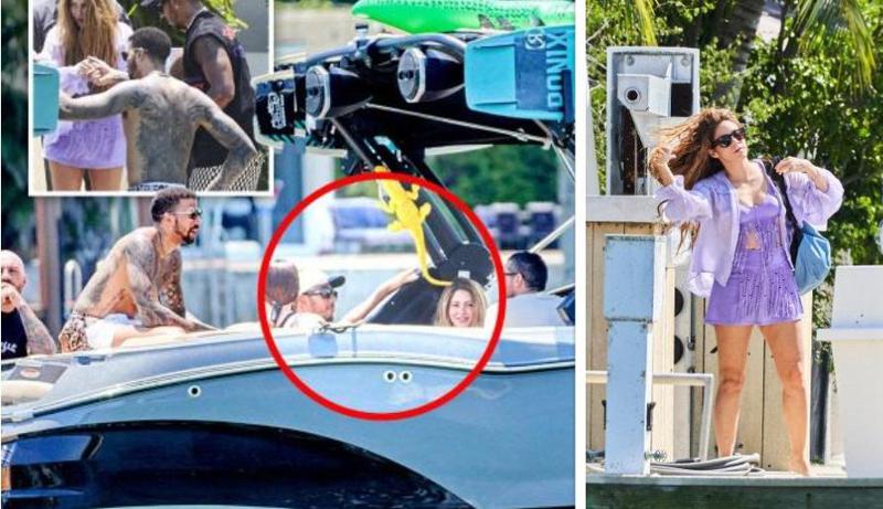 ტომ კრუზის შემდეგ შაკირა ლუის ჰამილტონთან ერთად შენიშნეს - ქმართან დაშორების შემდეგ მომღერალი მარტოხელას ცხოვრებით ტკბება