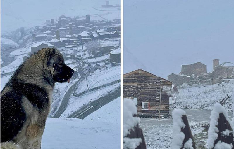 14 მაისის დილა უშგულში - რა ფოტოები ვრცელდება სოციალურ ქსელში