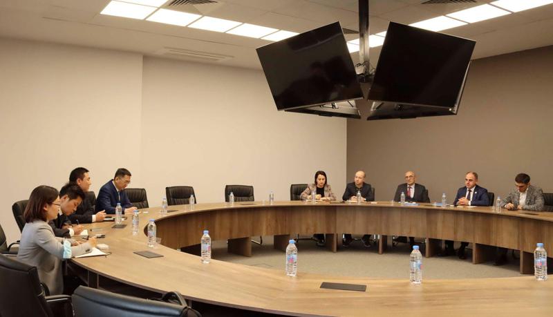დავით ნარმანია ჩინური ენერგეტიკული კომპანიის "China Power"-ის  წარმომადგენლებს შეხვდა