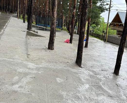 "კერძო პირმა სახლამდე მისასვლელ გზაზე თვითნებურად ჩააბეტონა ხეები..." - რას ამბობენ ხაშურის მერიაში გავრცელებულ ფოტოზე?