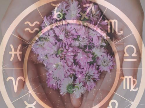 მთვარის გავლენა მცენარეებზე, სასარგებლო რჩევები ნარგავების მოსავლელად