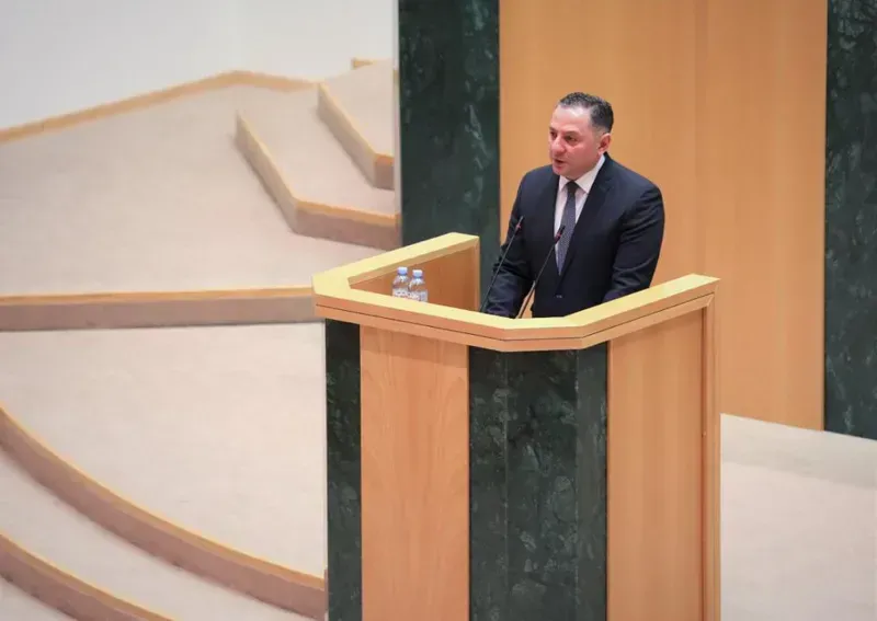 "მშვიდობიანად რომ მდგარიყვნენ, ადგილიც გამოვუყავით, არავინ არავის დააკავებდა, თუმცა, მშვიდობიანი არ აწყობდათ, რაღაც შოუ ხომ უნდა დაიდგას" - გომელაური