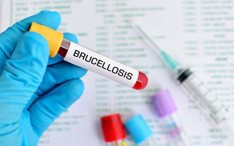 ასპინძის სოფელ საყუდაბელში ბრუცელოზი 12 ადამიანს დაუდასტურდა