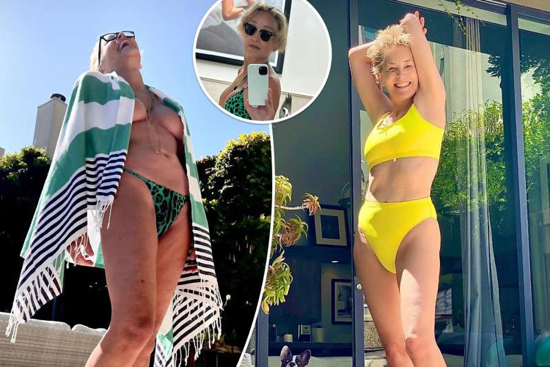 65 წლის შერონ სტოუნი საცურაო კოსტიუმში გულშემატკივრისთვის შთამაგონებელია - რა ფოტოები გამოაქვეყნა ჰოლივუდის ვარსკვლავმა