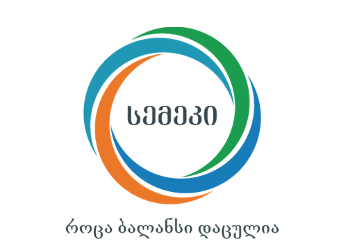 სემეკმა 2022 წლის საქმიანობის ანგარიში დაამტკიცა