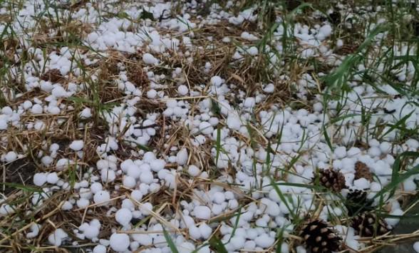 ძლიერი სეტყვა, წვიმა და ნიაღვარი გორში - დაზიანებულია საცხოვრებელი სახლების ეზოები, ხეხილი და ნარგავები (ვიდეო)