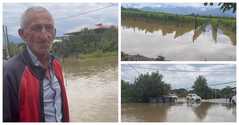 "სახლებია ჩაძირული, ვინ გვიშველის? ვენახები დაისეტყვა, დაზღვეული არ მაქვს, რა ვქნა ახლა მე?" - სტიქია კახეთში: განადგურებულია ვენახები, დატბორილია სახლები (ფოტოები)