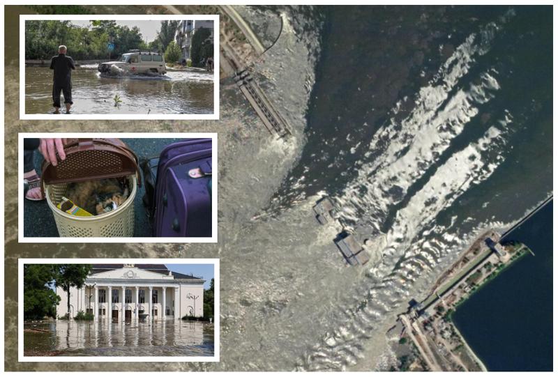 "გზადაგზა ვხედავდი ადამიანებს, რომლებიც მუხლამდე წყალში ცხოველების გადარჩენას ცდილობდნენ" - რა ხდებოდა კახოვკის კაშხლის აფეთქების შემდეგ: ხერსონელების ნაამბობი