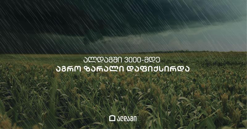 ალდაგში სტიქიის შედეგად მიყენებულ ზიანს ითვლიან