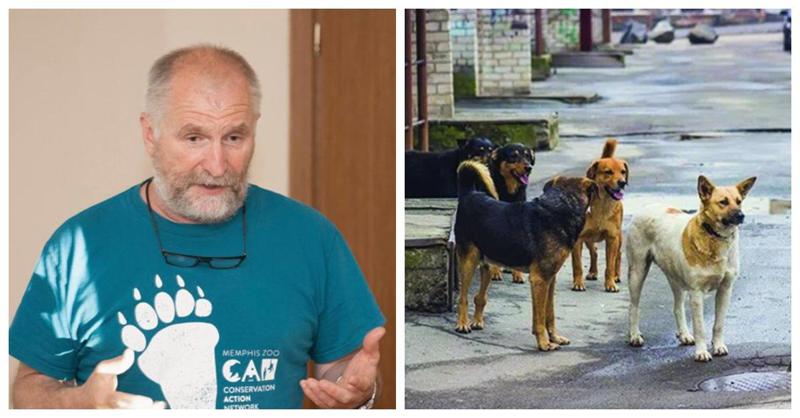 "თუ ძაღლი აგრესიულია, თავს ესხმის ვინმეს, პატრონი უნდა დაისაჯოს" - ზურაბ გურიელიძე ქუჩის ძაღლების პრობლემასა და შინაურ ცხოველებთან დაკავშირებით ცნობიერების ამაღლებაზე