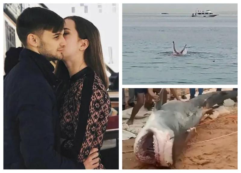 "როდესაც ზვიგენი გავკვეთეთ, შიგნით გარდაცვლილის თავი და ხელი ვიპოვეთ" - რა ხდება ცნობილი ეგვიპტეში მომხდარზე, რა დროსაც მტაცებელმა თევზმა რუსი ტურისტი იმსხვერპლა?