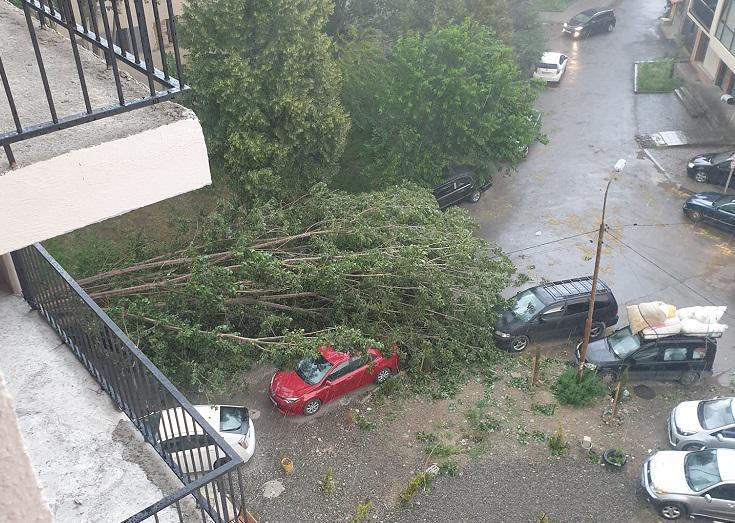 "დაგვემხო თავზე" - ძლიერი წვიმა და ქარი თბილისში, ზოგან მოგლეჯილია ხეები - რა ხდება დედაქალაქში (ფოტო, ვიდეო)