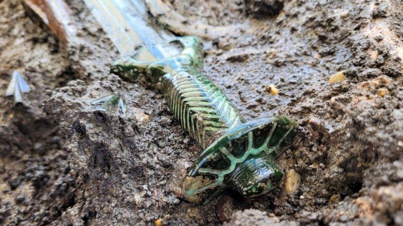 აღმოჩენა გერმანიაში - ერთ-ერთ საფლავში ნაპოვნია 3000 წელზე მეტი ხნის, ბრინჯაოს ხმალი, რომელიც ახალივით არის შენახული