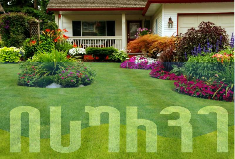 როგორ მოვუაროთ გაზონს მარტივად