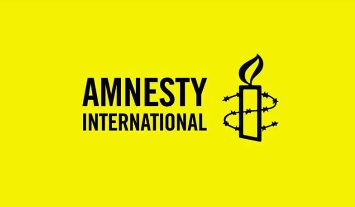 "პრეზიდენტის გადაწყვეტილებას მივესალმებით, მაგრამ საქართველოს მთავრობამ წინააღმდეგობა უნდა გაუწიოს კრიტიკული ხმების გაჩუმების სურვილს" - Amnesty International-ის წარმომადგენელი
