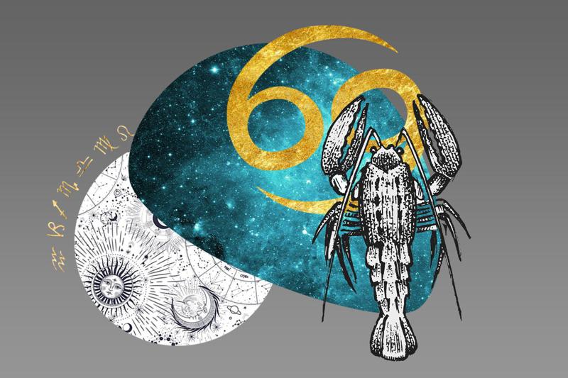 კირჩხიბის სიყვარული: 5 ჭეშმარიტი სიმართლე