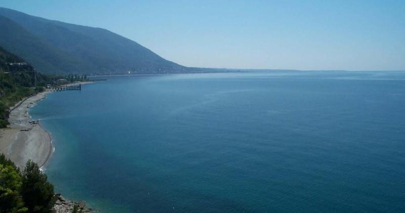 "მოლოდინი იყო, რომ ზღვა მკვდარ ცხოველებს გამორიყავდა, მაგრამ უცნაურია, რატომ აფხაზეთში?" - რა ხდება შავ ზღვაში კახოვკის ელექტროსადგურის აფეთქების შემდეგ