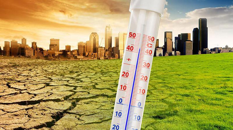 2023 წლის ცხელი ივნისი და მსოფლიო ახალი გამოწვევების წინაშე - ევროპის 13 ქვეყანაში დენგეს ცხელებისა და ჩიკუნგუნიას ვირუსის გადამტანი კოღოები გაჩნდა