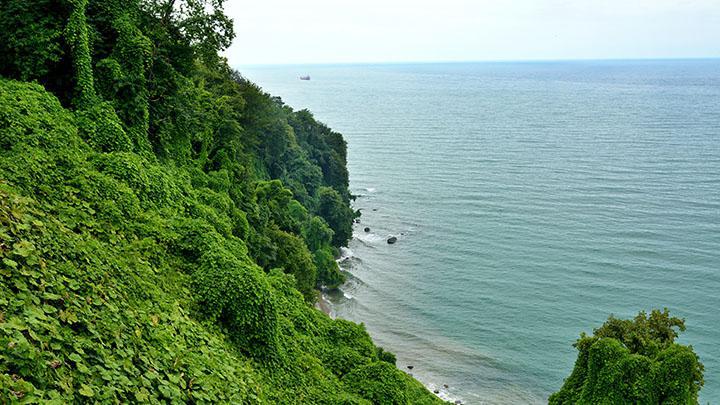 რას აცხადებენ საქართველოში შავი ზღვის ხარისხსა და უსაფრთხოებაზე ტურიზმის ეროვნულ სააგენტოში?